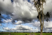 利物浦逆转：AC米兰双双落败