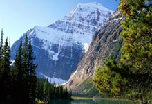 美因茨一蹶不振，铩羽而归：失落与重生之间的球迷告白