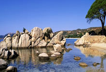 泰国队员参加精英训练，全力备战比赛